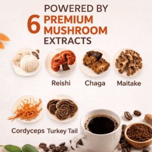 mushroom coffee – functional drink mix for focus & energy – 6.35 oz