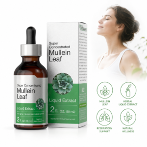 HonsonGlobal Wholesale Price OEM/Private Label Super Concentrated Mullein Leaf Liquid Extract Alcohol Free Herbal Drops for R