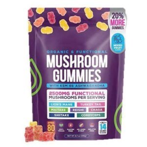 HonsonGlobal Wholesale Price OEM/Private Label Mushroom Gummies With KSM 66 Ashwagandha Vegan Gluten Free Gelatin Free Lions