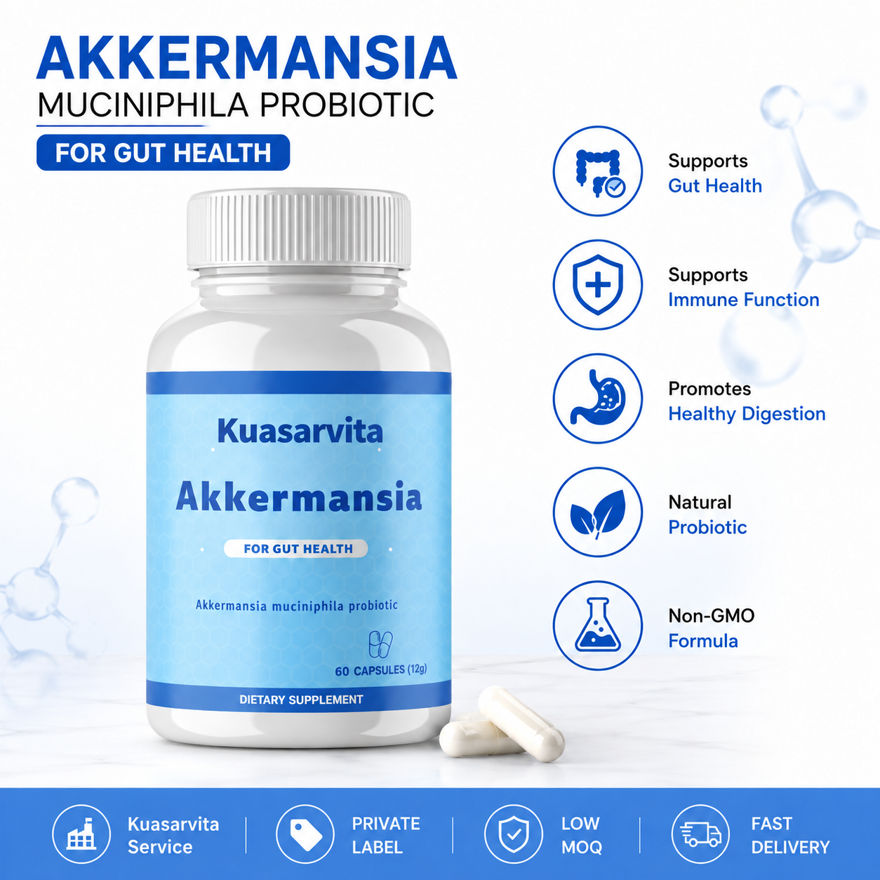 Akkermansia Probiotic Capsules – 60 Count